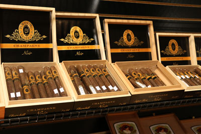 Perdomo Shampagne